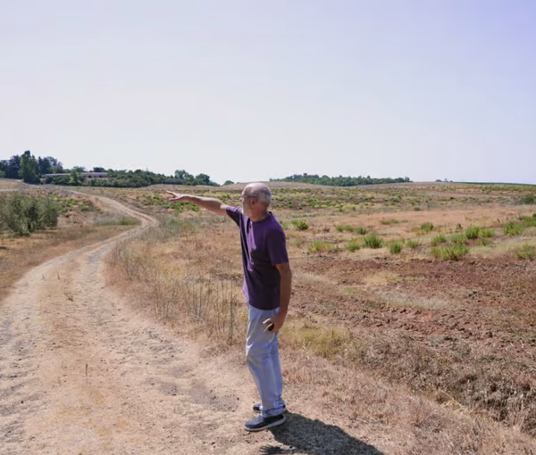 IN TOSCANA LA TERRA “RIBOLLA” E SI RIBELLA AI SIONISTI SHIKUN & BINUI Ltd